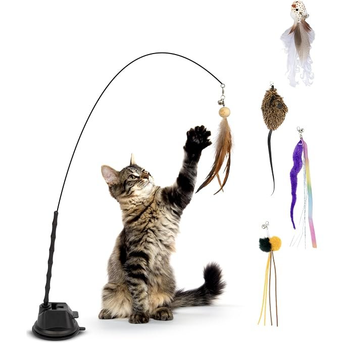 Produktabbildung: LENOK Katzenangel mit Saugnapf und Federn